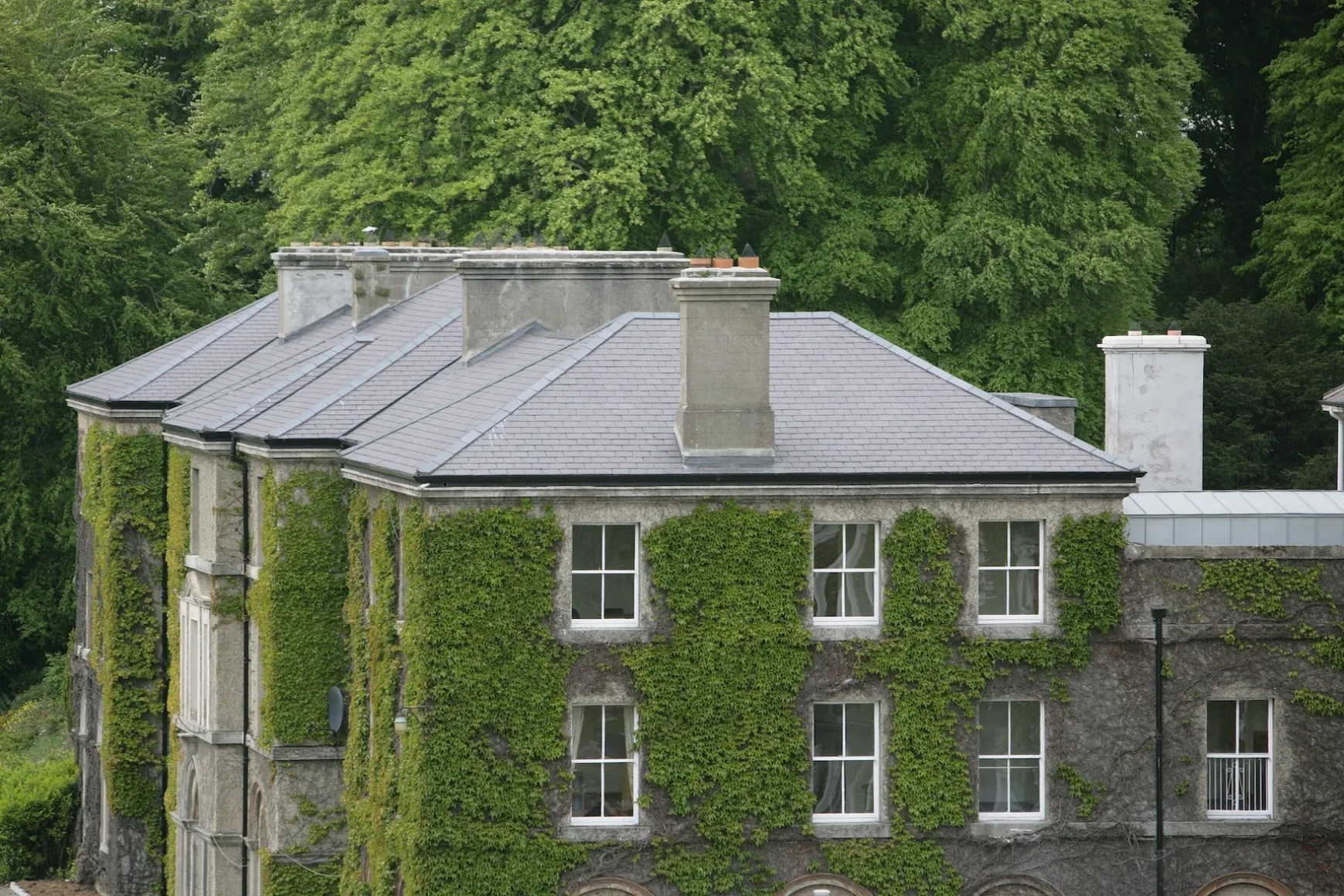 Bangor Blues Castleknock College