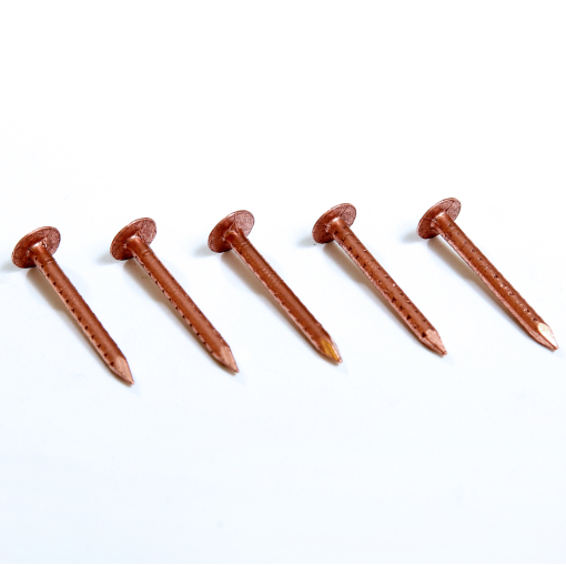 Copper Nails